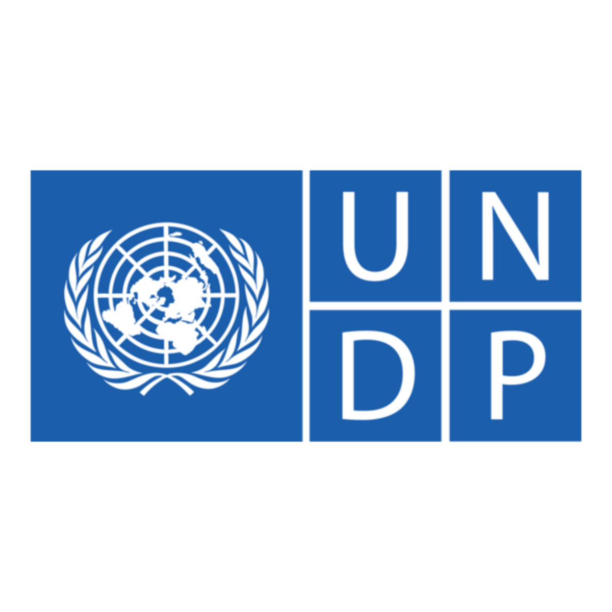 United Nations  Development Programme